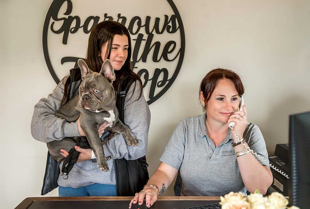 Sparrows office receptionist making phone appointment