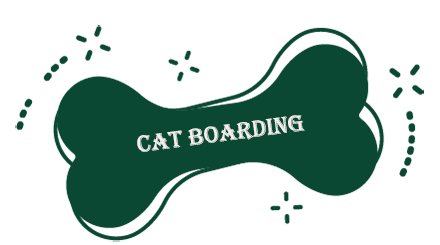 cat-boarding-button
