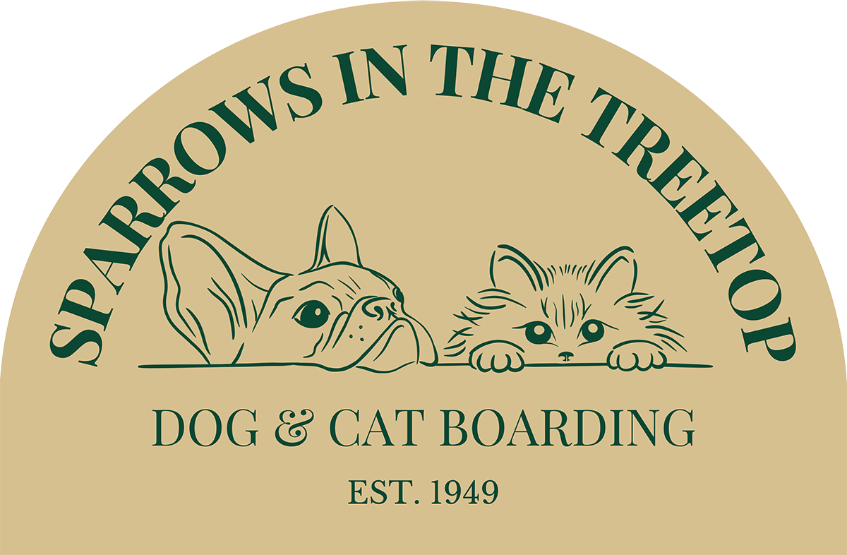 Sparrows In The Tree Top