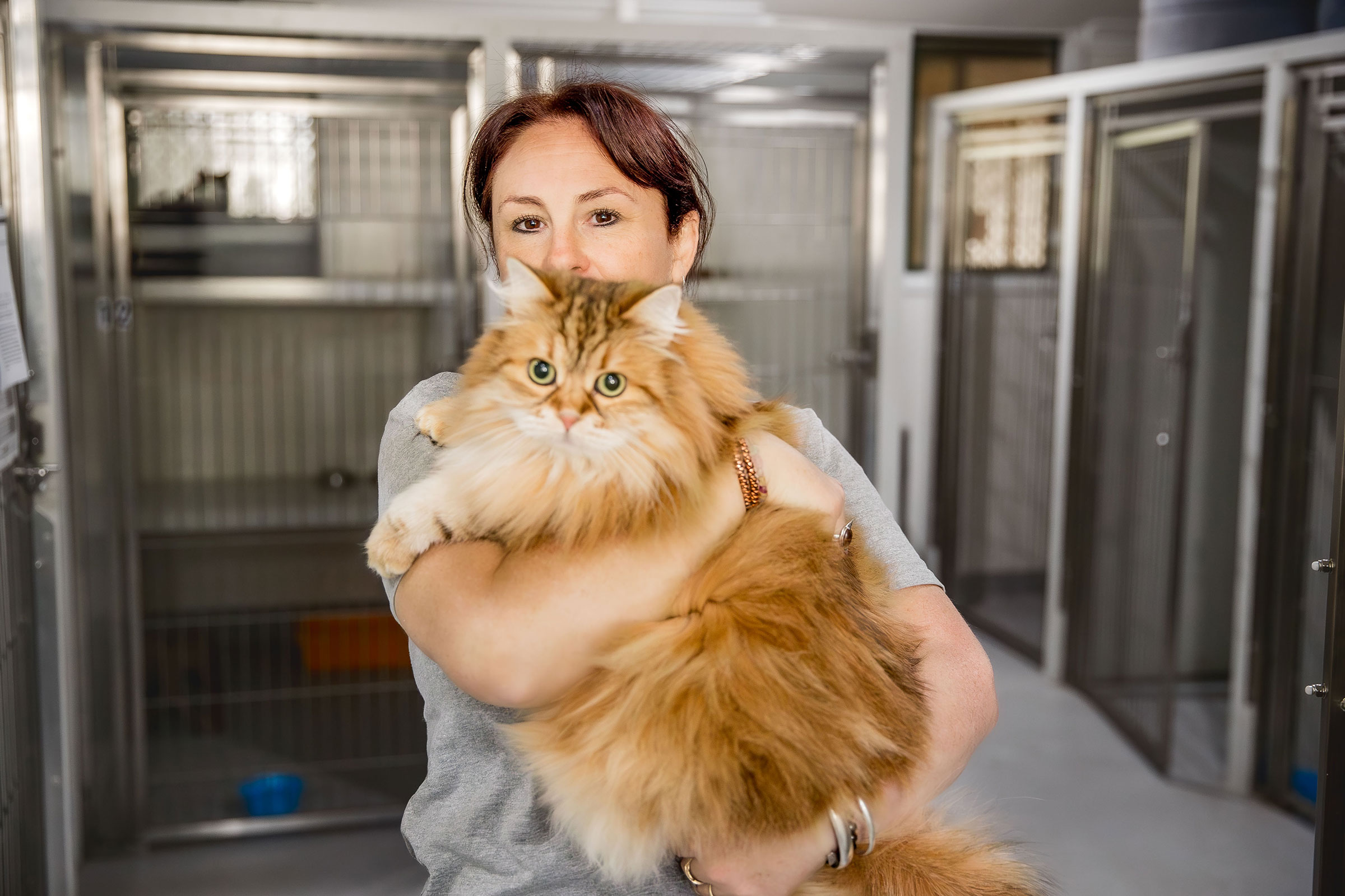 sparrows-cattery-02-lg