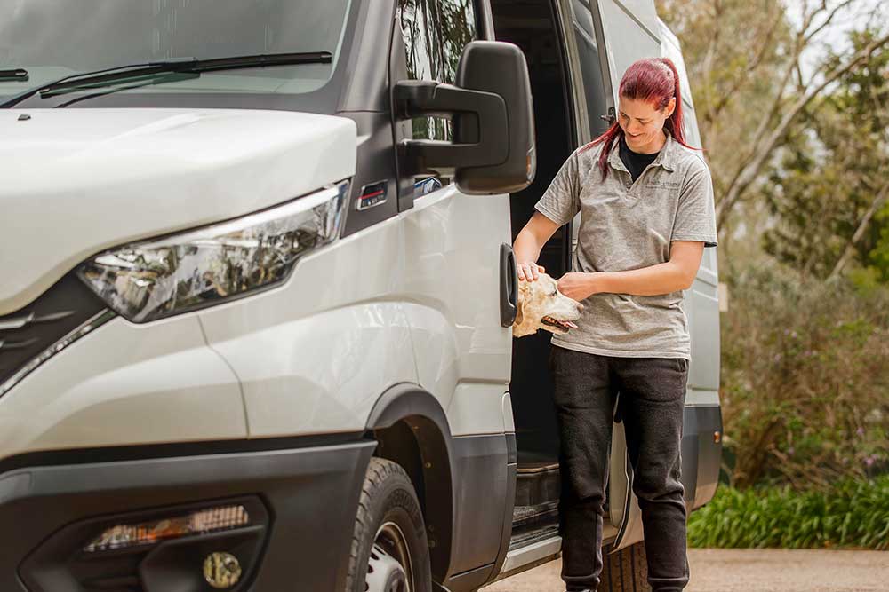 sparrows-vehicles-10