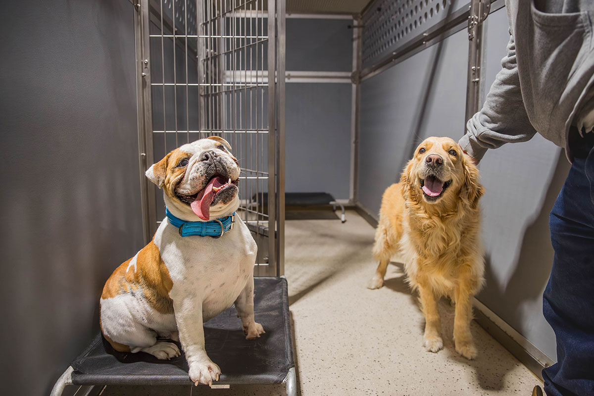 🏠 Superior Comfort